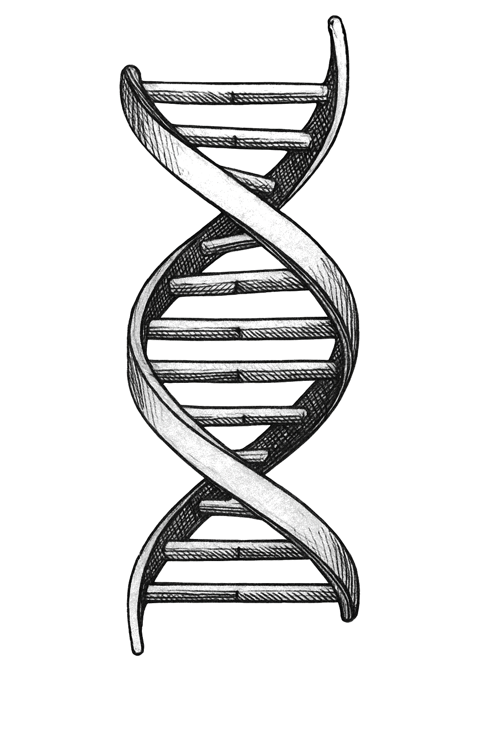 DNA illustration